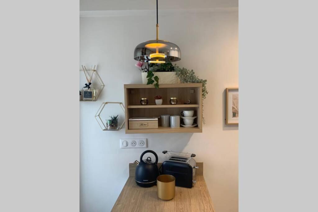 Joli Appartement Haut Standing En Hyper Centre Toulouse Ngoại thất bức ảnh